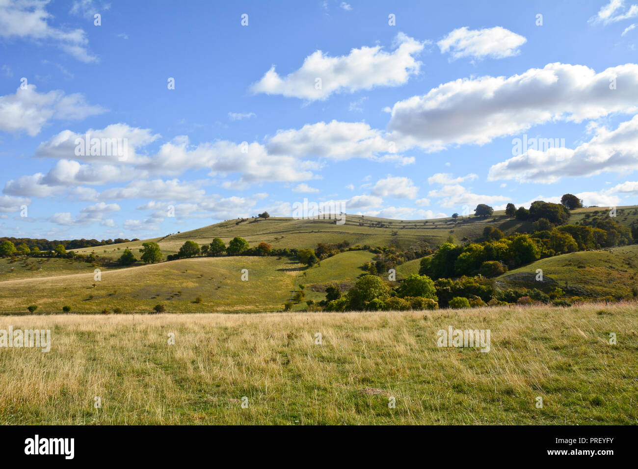 Die schöne Pegsdon Hügel und Hoo Bit Naturschutzgebiet ein beliebter Ort mit Spaziergängern in der Nähe des Dorfes Pegsdon, Hertfordshire, England Stockfoto