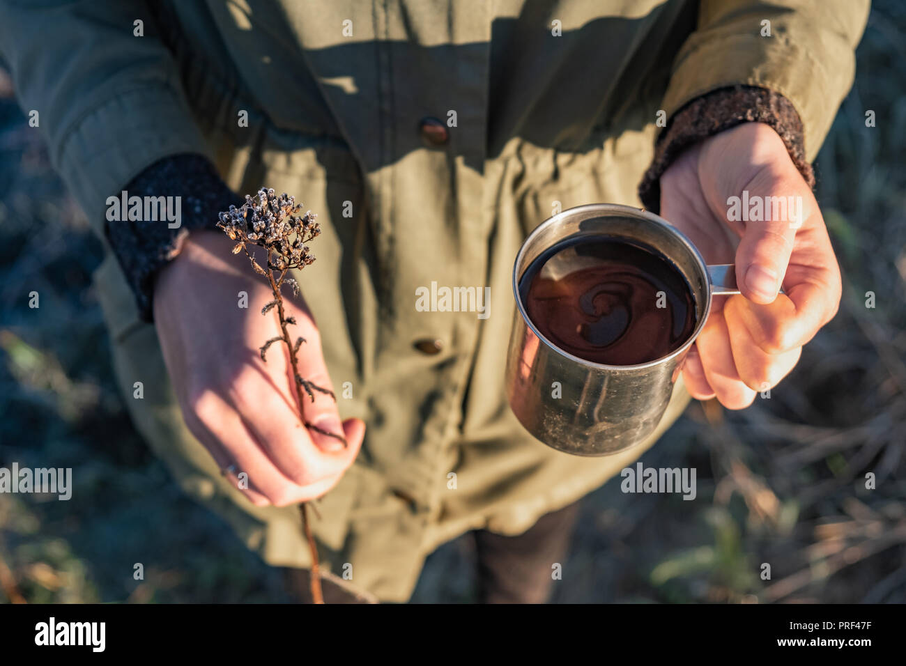 Nahaufnahme von Frau mit Tasse Kaffee und Blume im schönsten Sonnenlicht. Schönheit in der Natur Konzept: weibliche Hände halten Tasse heißes Getränk und einem trockenen Bereich fl Stockfoto