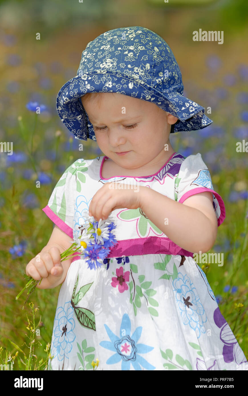 Süße kleine Mädchen in ein buntes Kleid und blauen Hut auf blühende Wiese Stockfoto