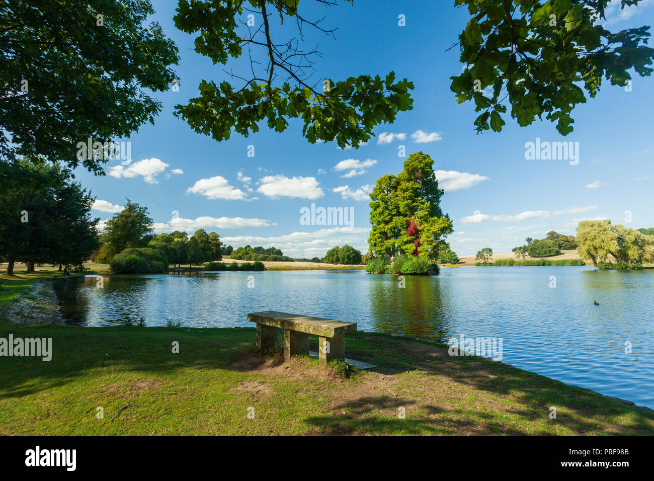 Spätsommer in Petworth, West Sussex, England. Stockfoto