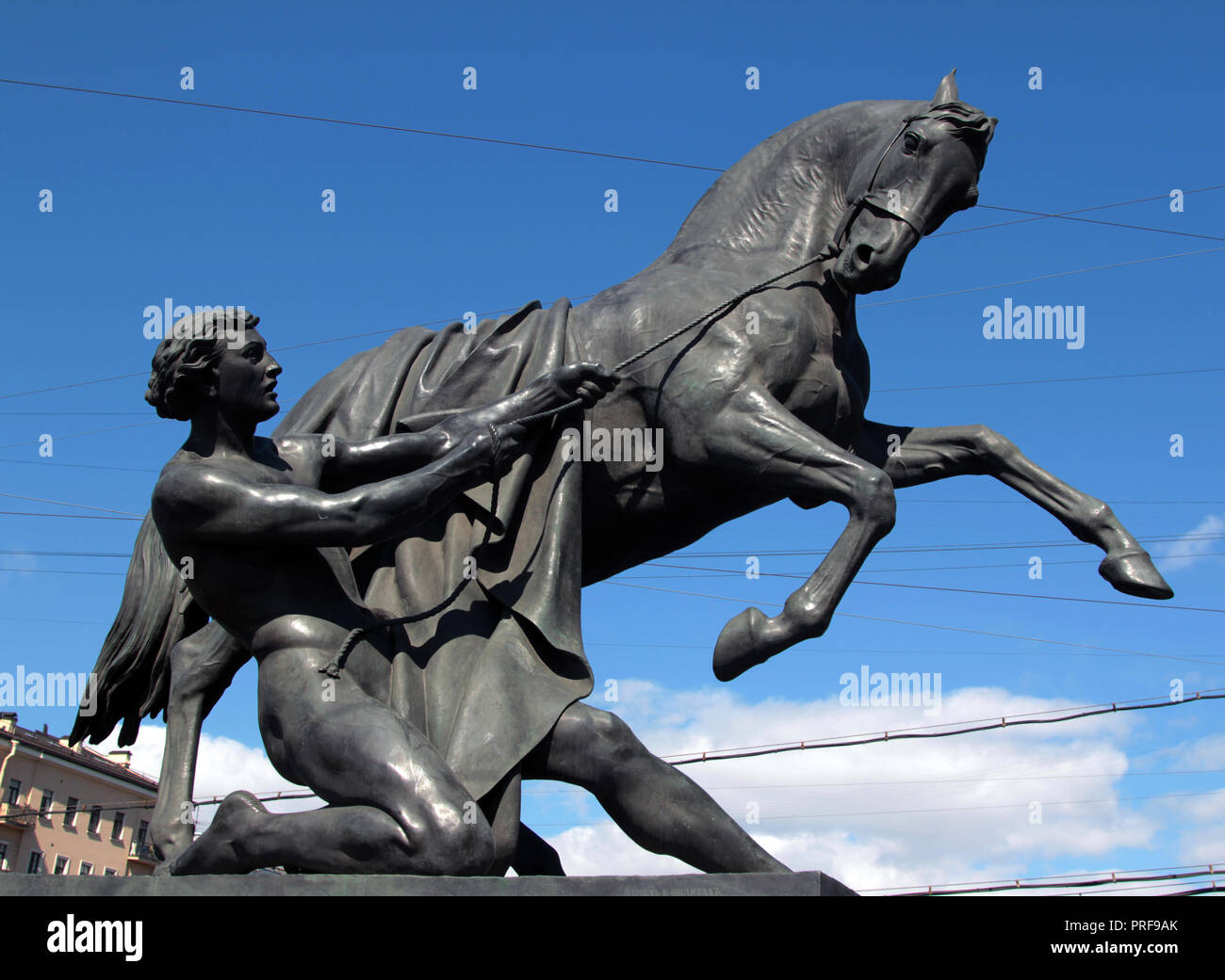 Auf der Anitschkow-brücke, das ist auf dem Newski Prospekt, es gibt vier dynamische Statuen wie die Zähmung des Pferdes oder das Pferd Dompteure bekannt, und es gibt eine an jeder der vier Ecken der Brücke in St. Petersburg, Russland. Sie sind auffällig, Blickfang und wunderbar auf ihren Sockeln. Stockfoto