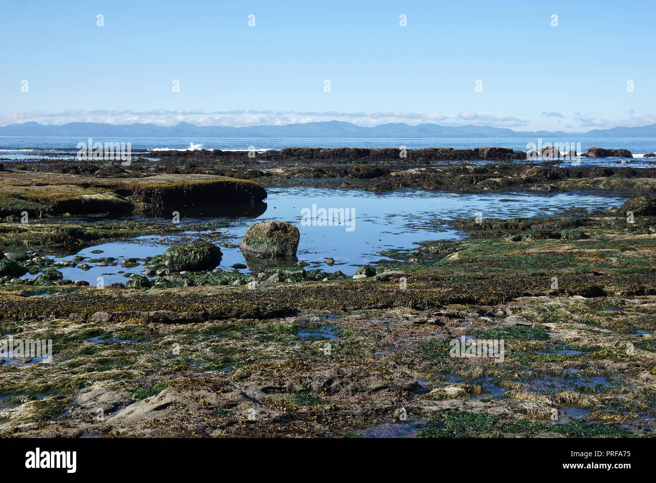 Botanical Beach, Port Renfrew, Vancouver Island, Kanada Stockfoto