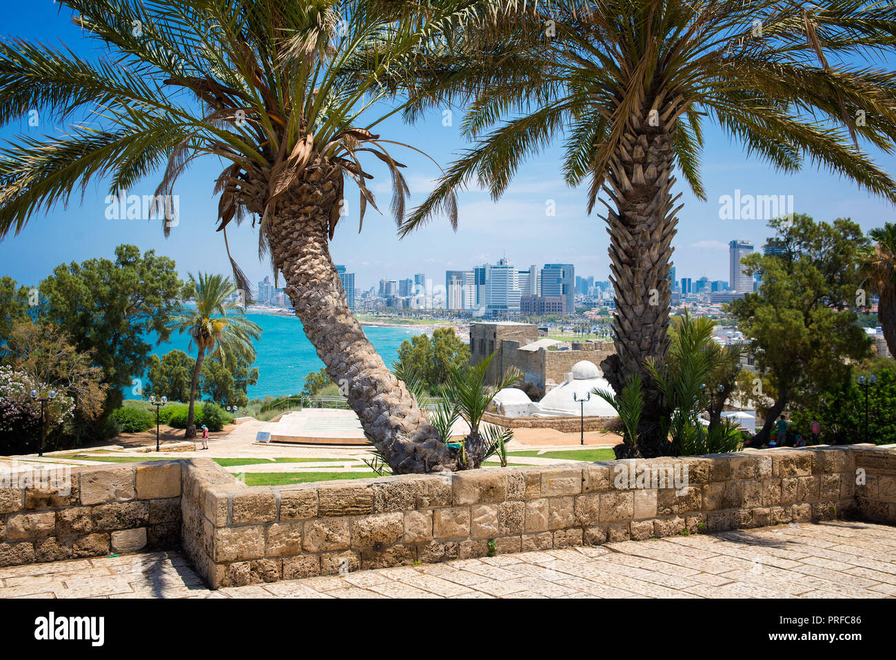 Park in Tel Aviv Stockfoto