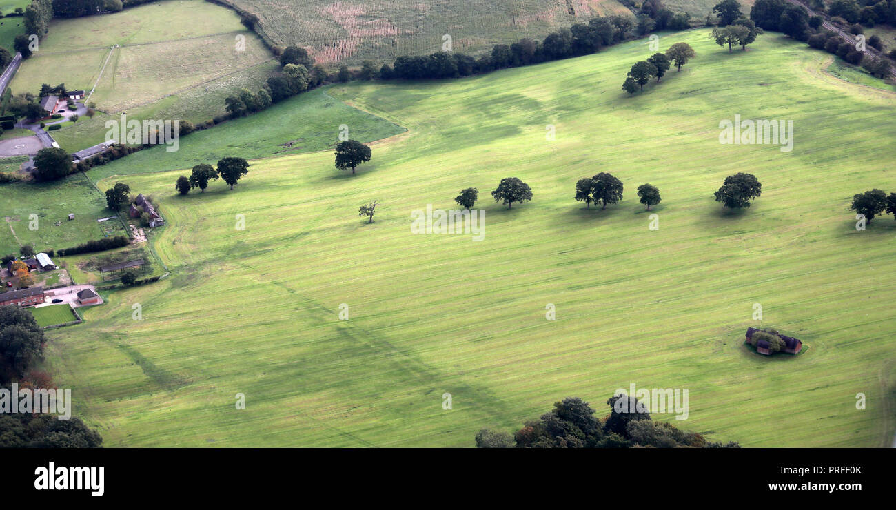 Luftaufnahme von Bäumen in einem Bauern Bereich der Ackerkulturen, in der Nähe von Crewe in Cheshire Stockfoto