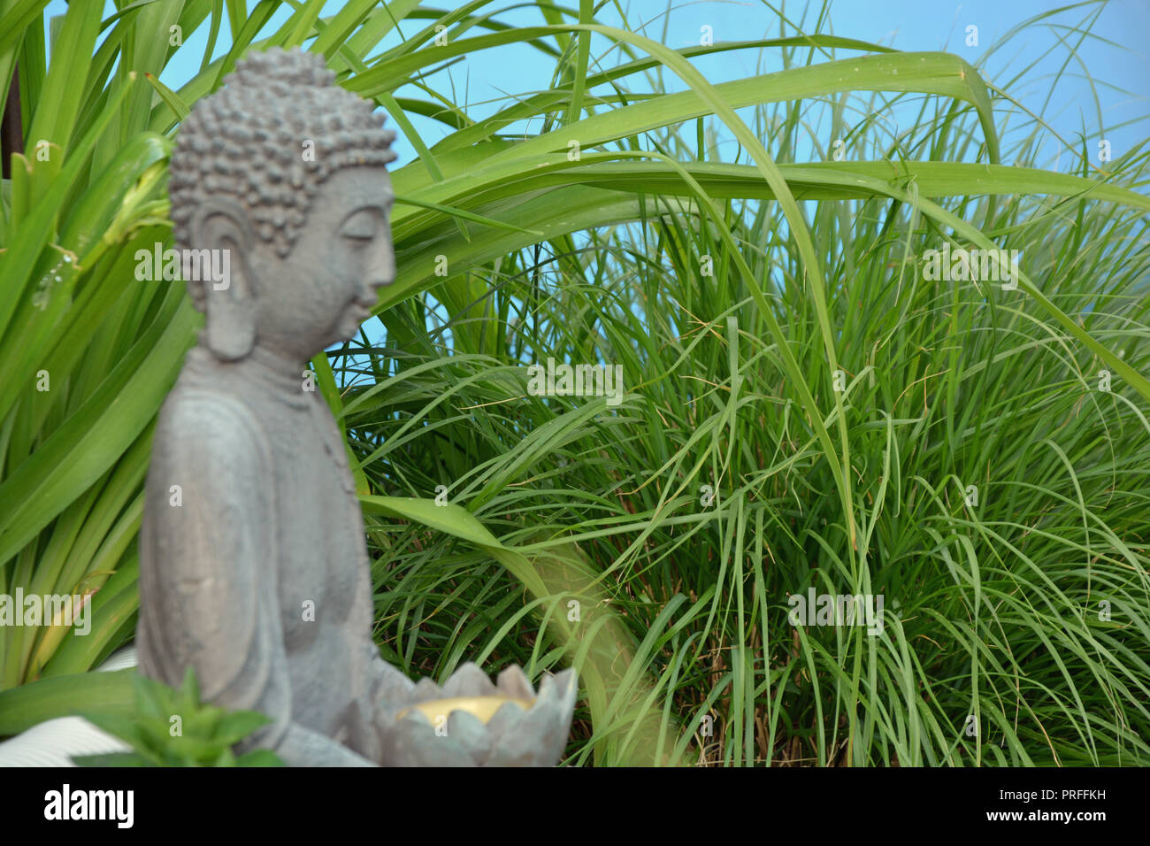 Buddha Hintergrund Stockfoto