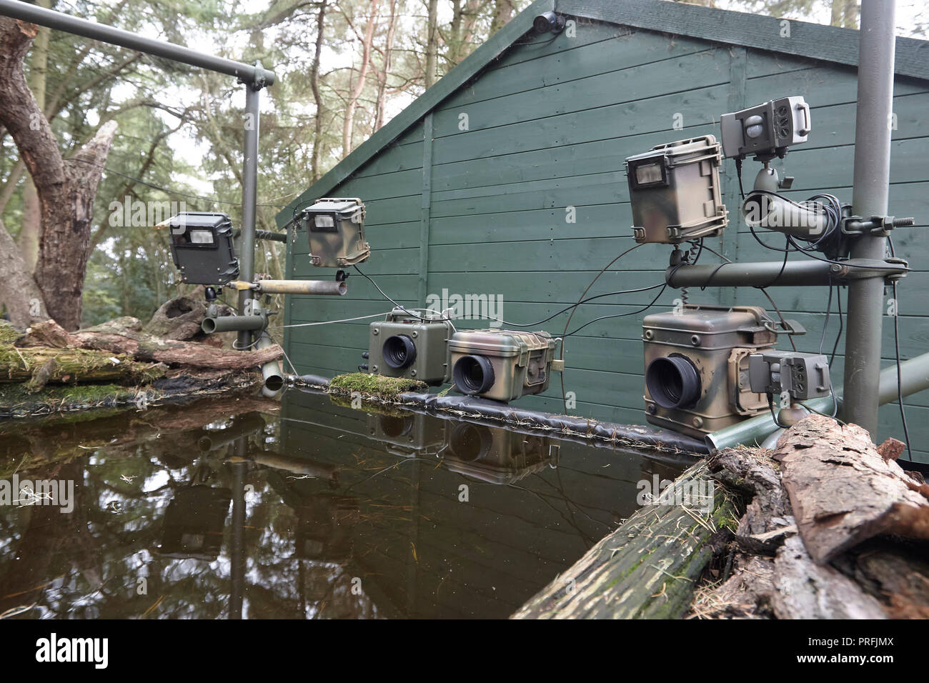 Wildlife DSLR-Kamera trap Ausrüstung einschließlich drei Kameras, drei Speedlight blinkt ein Remote Sensor auf eine Reflexion Teich, East Yorkshire, Großbritannien. Stockfoto