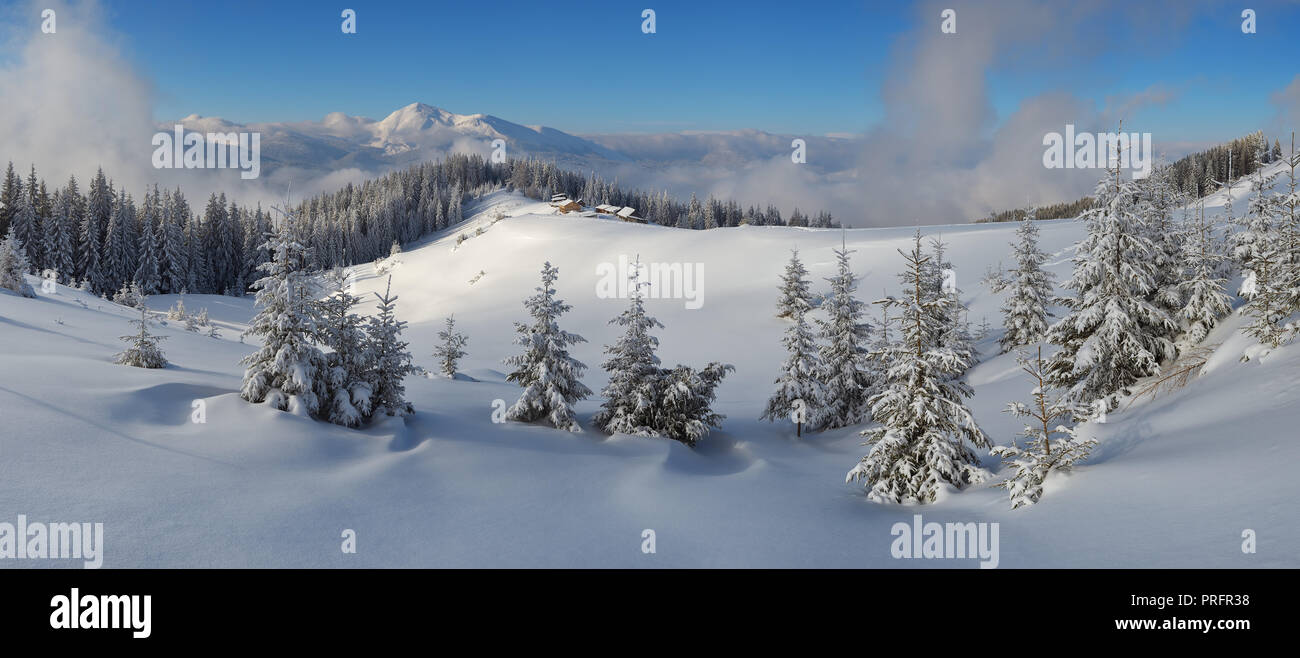 Panorama der Winterlandschaft in den Bergen. Tanne Wald unter Schnee. Weihnachten anzeigen. Holzhäuser der Hirten. Karpaten, Ukraine, Europa Stockfoto