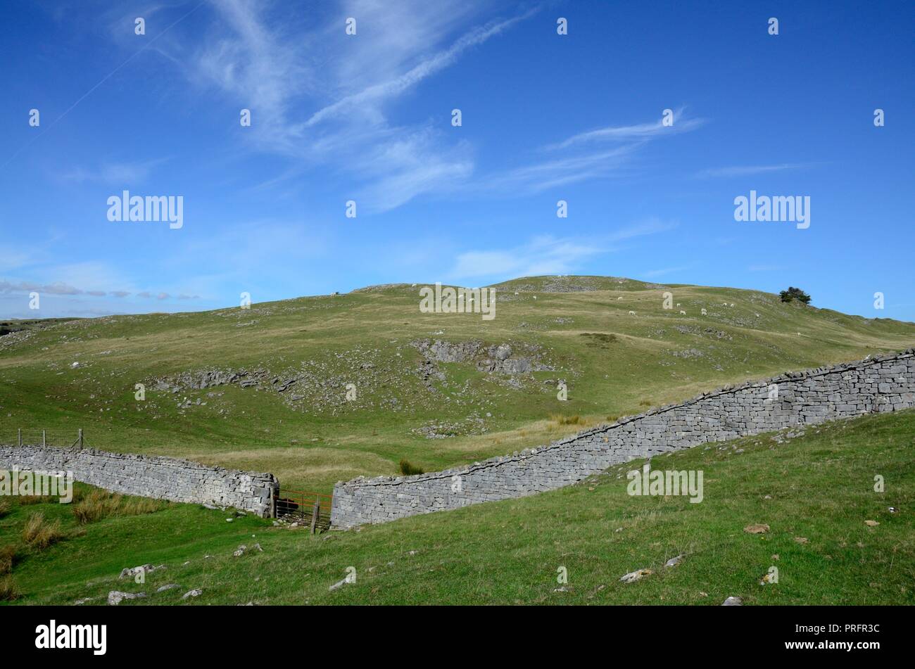 Carnau Gwynion Kalkstein Hochland und traditionelle walisische Trockenmauer Ystradfellte Brecon Beacons Fforest Fawr UNESCO-Geopark Wales UK Stockfoto
