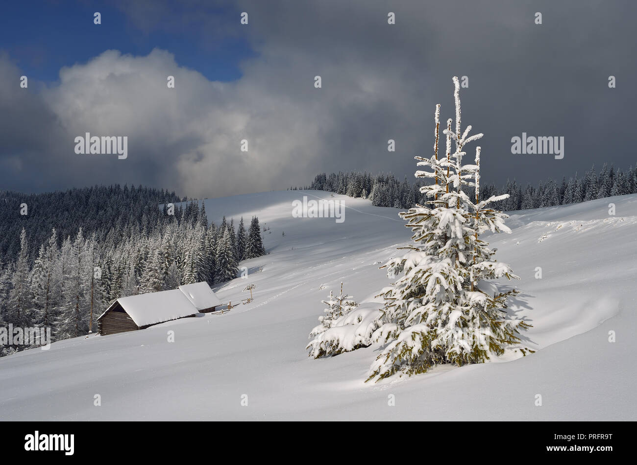 Schöne Winterlandschaft. Weihnachten anzeigen Stockfoto