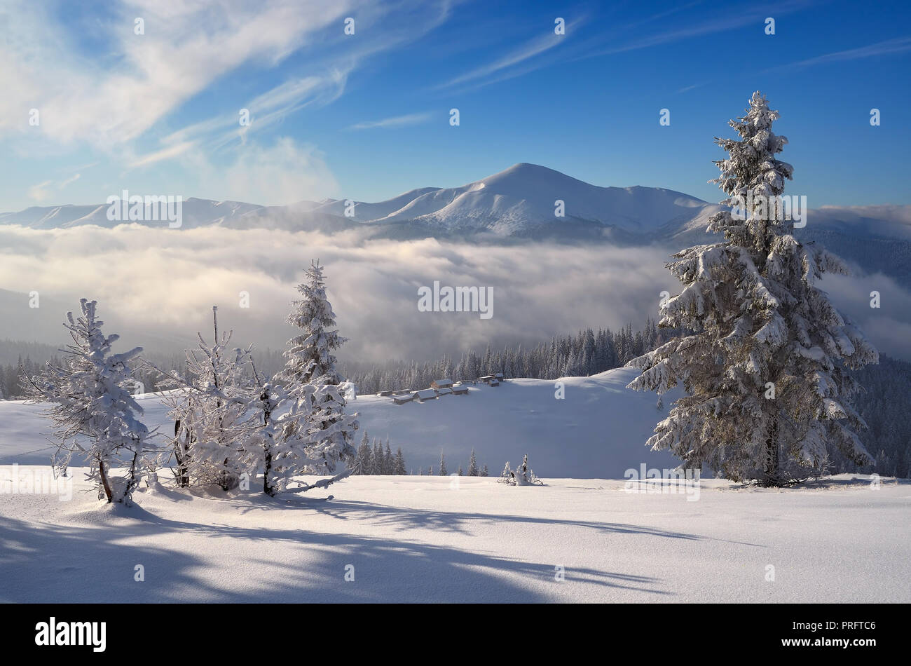 Winterlandschaft in den Bergen. Sonnige frostigen Morgen. Karpaten, Ukraine. Weihnachten anzeigen Stockfoto