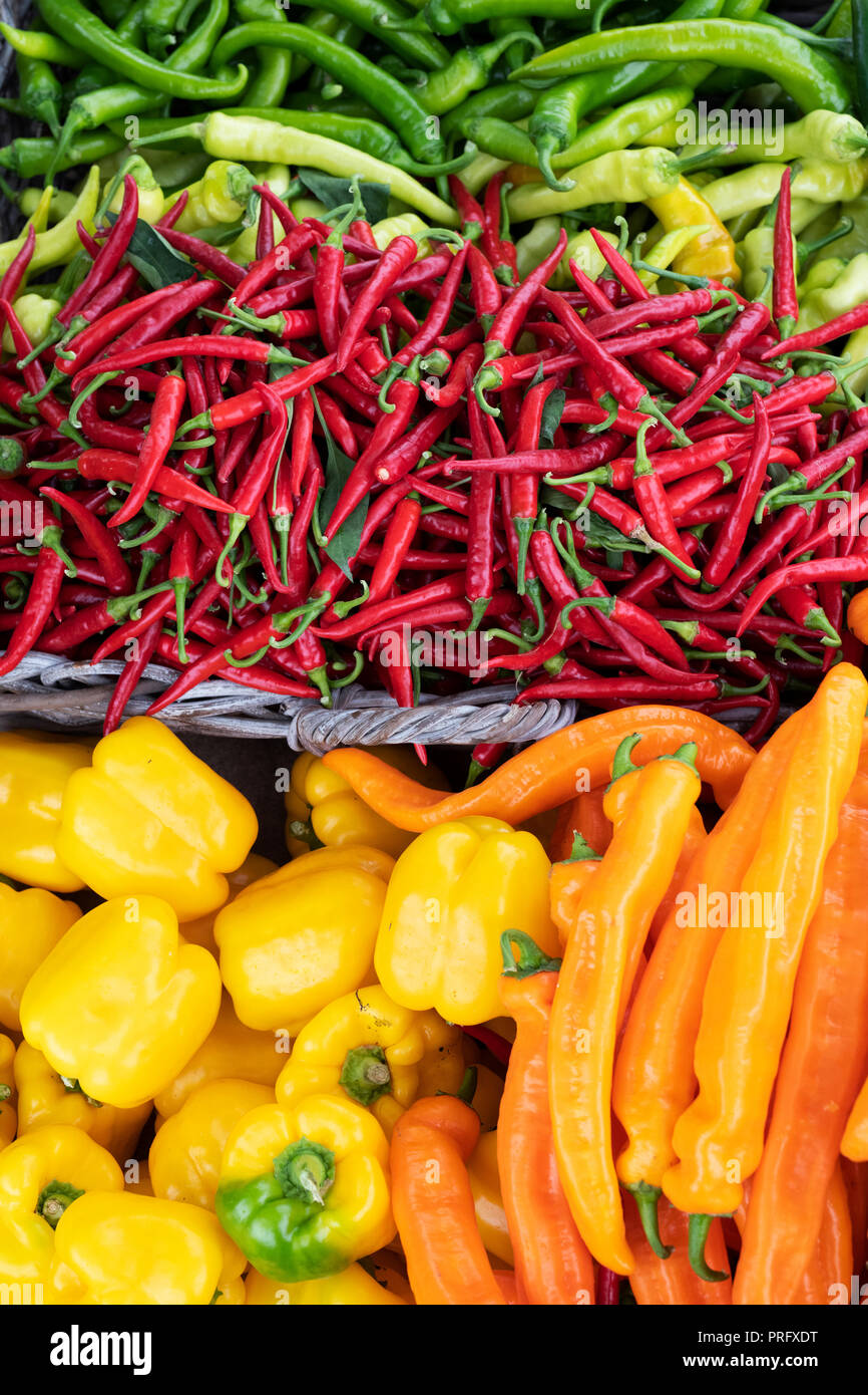 Paprika und Chilis für Verkauf bei Daylesford Organic Farm Shop Herbstfest. Daylesford, Cotswolds, Gloucestershire, England Stockfoto