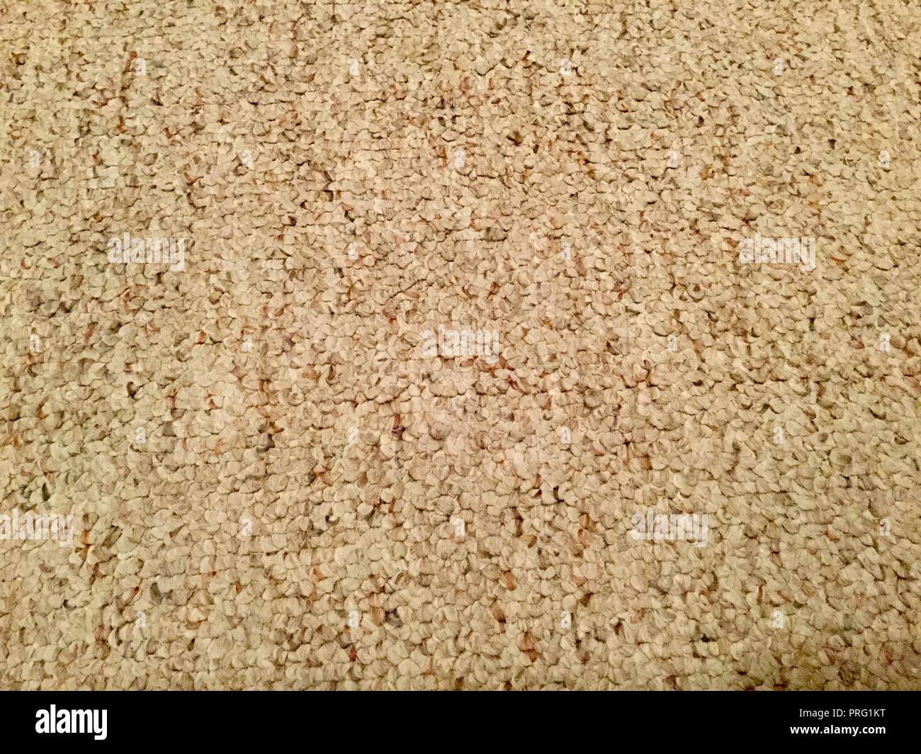 Tan Hintergrund mit Textur. Stockfoto