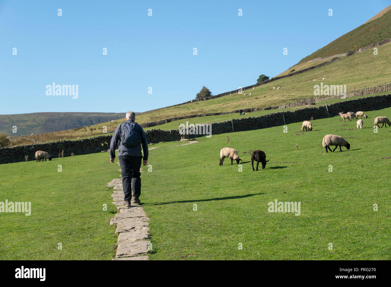 Mann zu Fuß auf den Pennine Way bei Alfreton, Peak District, Derbyshire, England. Stockfoto