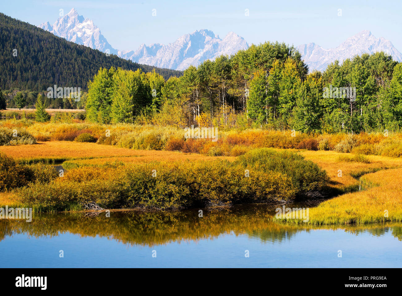 Herbst Blick von Oxbow Bend im Grand Teton National Park Stockfoto