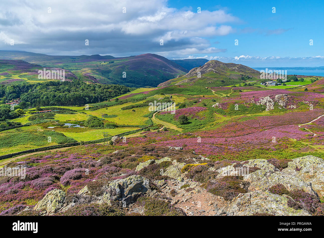 Blick nach Westen vom Gipfel des Berges Conwy Conwy in Wales UK August Stockfoto