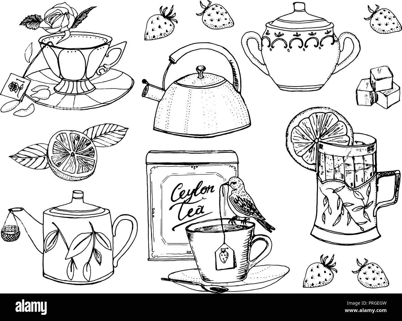 Tea Time. Der Wasserkocher. Natürliche organische Produkt. landwirtschaftliche Produkte, trendy Cute Vector Illustration. Gravur von Hand gezeichnete Linie kunst Jahrgang alte doodle Skizze, Tinte. Vector Illustration für Label. Stock Vektor