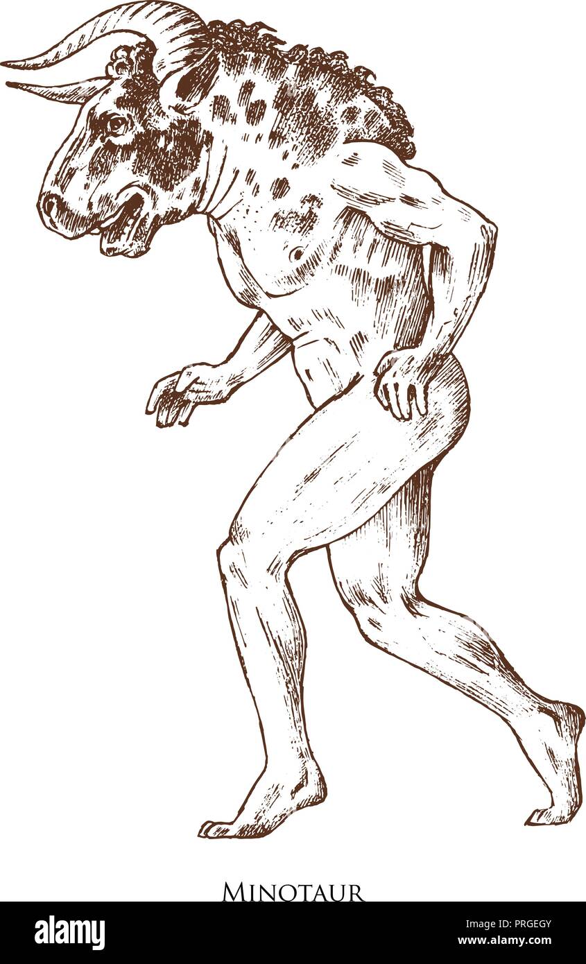 Mythische Minotaurus. Mythologische antike Tier. Alte Mann mit dem Kopf eines Stieres, fantastische Kreaturen in der alten Vintage Style. Graviert Hand gezeichnet alte Skizze. Stock Vektor