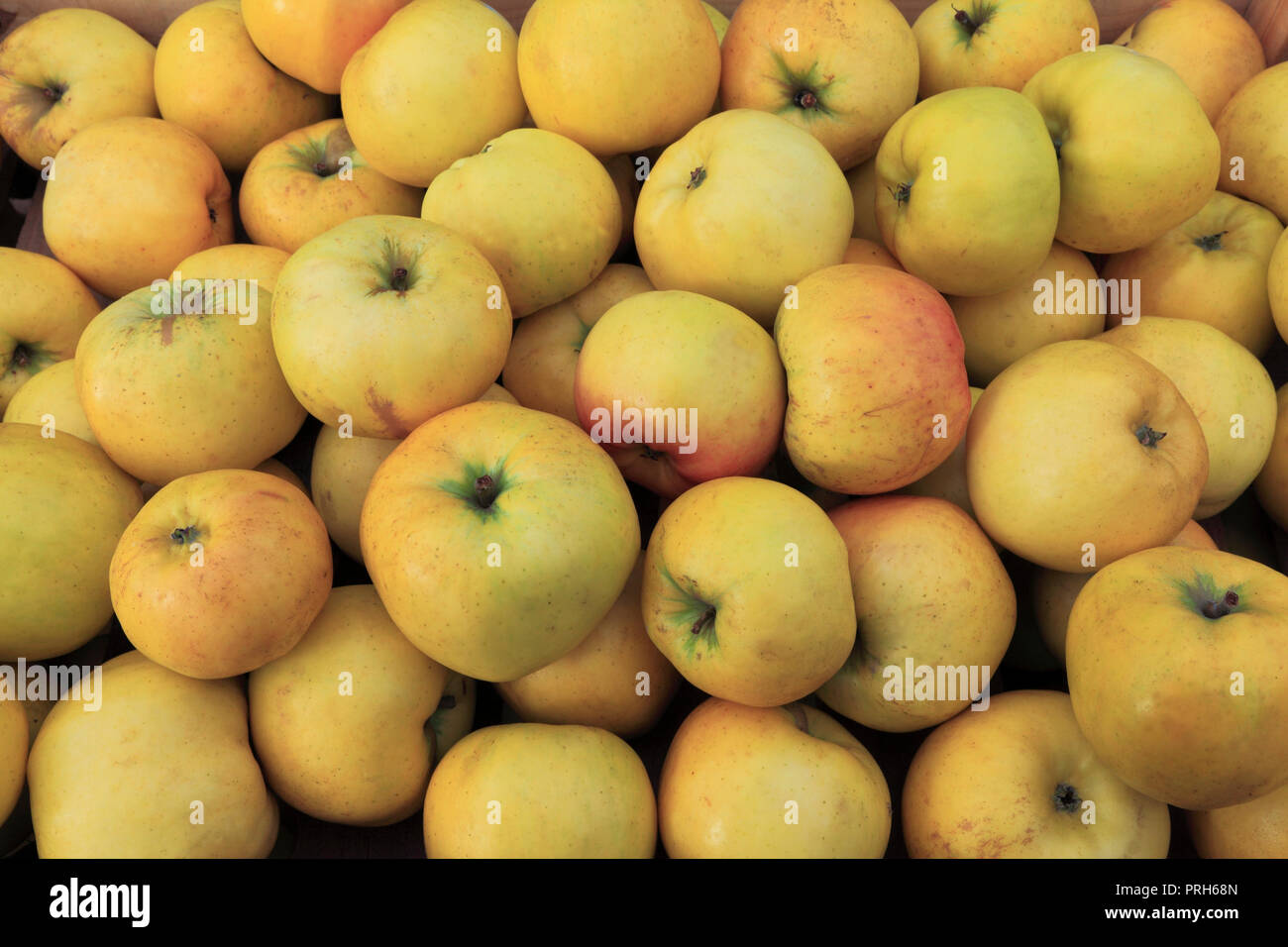 Apple, Äpfel, 'Aufgebot', Sorte, Hofladen, Display, Malus Domestica, essbare, Obst Stockfoto