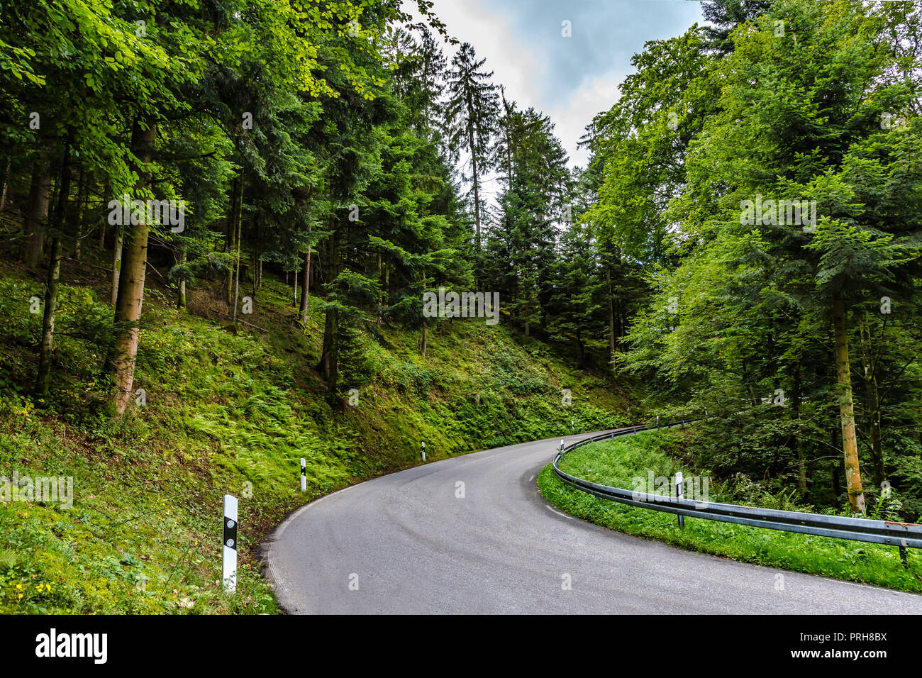 Geteerten Straße windet sich durch üppige grüne Landschaft mit Feder Wald in einem Alpental in einem Reise- und Tourismus-Konzept Stockfoto