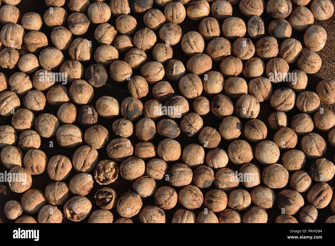 Anantnag, Indien. 01 Okt, 2018. Kaschmir Walnüsse nach dem Ausbau ihrer grünen Schalen- und Reinigungsprozess auf, 01, Oktober, 2018 am Stadtrand von anantnag Bezirk 60 km von Südlich von Srinagar, die Hauptstadt des Indischen kontrollierten Kaschmir, Indien. Viele Einheimische in der Nussbaum Industrie beteiligt sind enttäuscht, denn es stellt eine immense Herausforderung nach Indien die Einfuhren mit Ursprung in anderen Ländern zulässig. Credit: Aasif Shafi/Pacific Press/Alamy leben Nachrichten Stockfoto