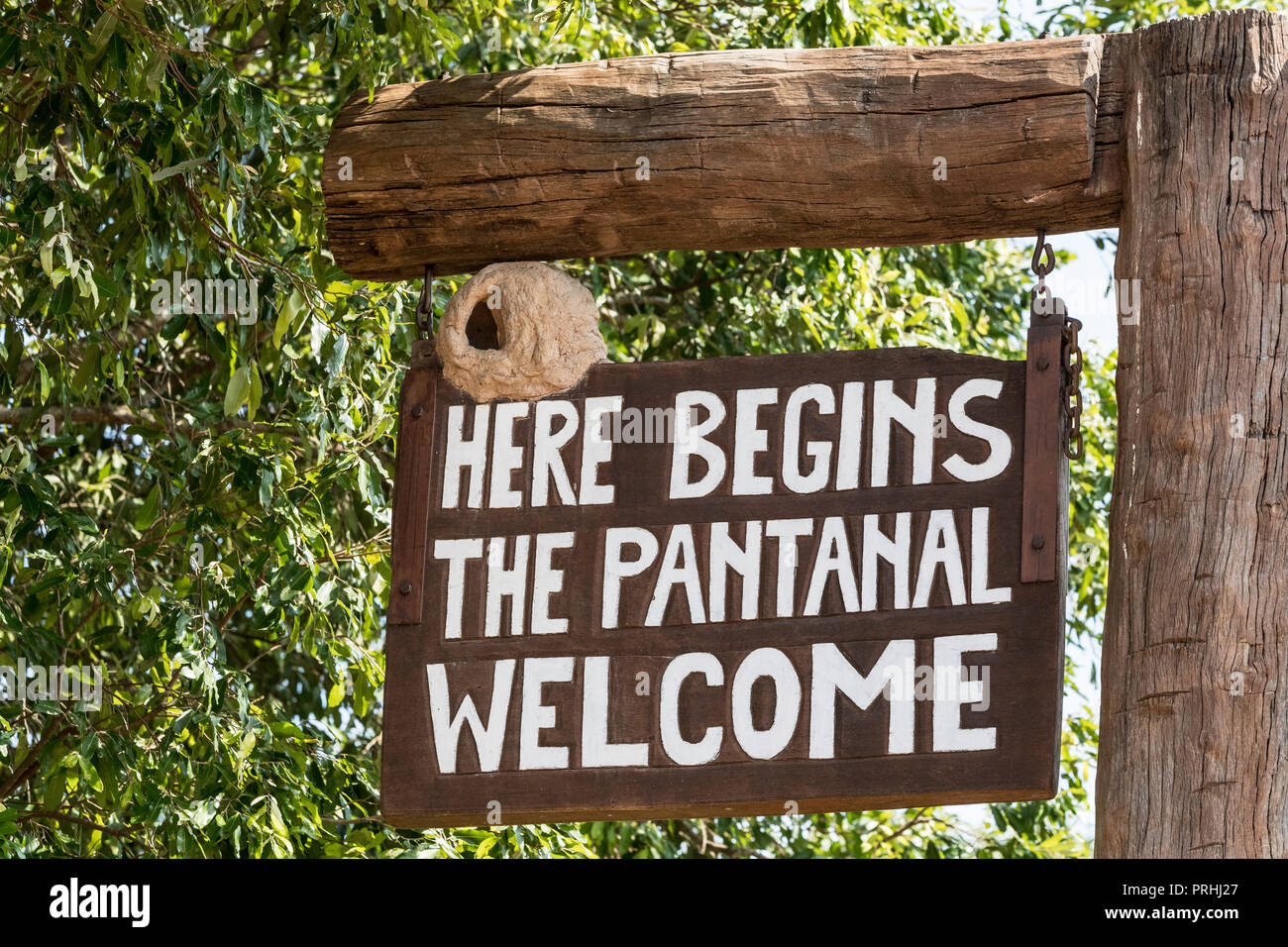 Gate bezeichnet den Beginn der Transpantheira, Pantanal, Brasilien. Stockfoto