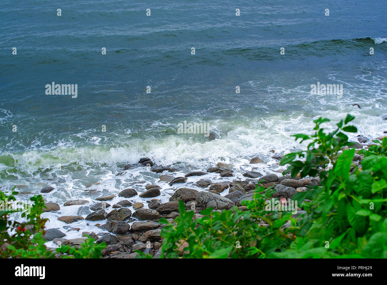 Landschaft Meer felsige Strand Meer Kiesel Wellen Schaum Büsche Hagebutte. Natürliche Seascape Stockfoto