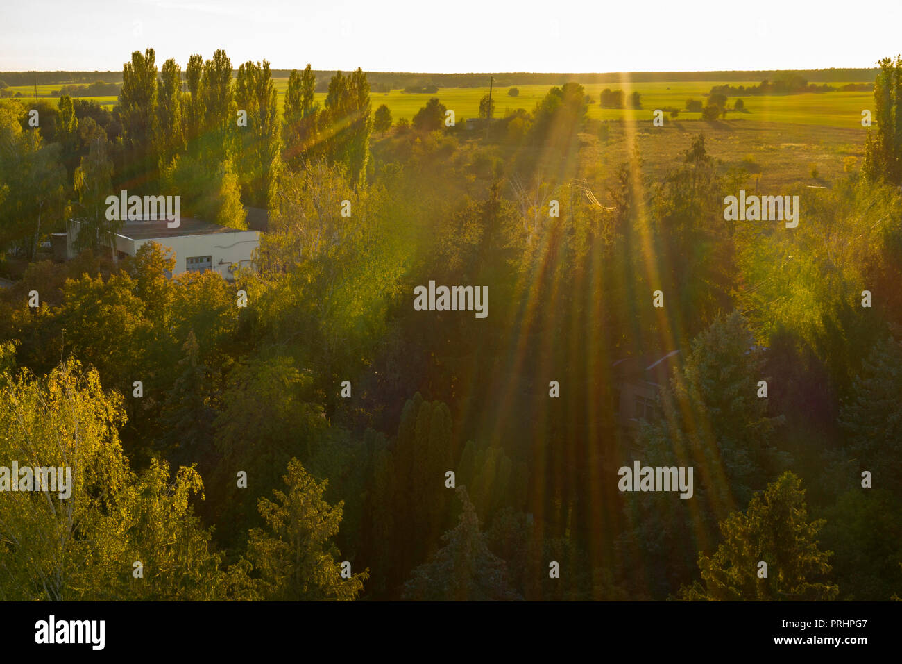Einen schönen Herbst Landschaft mit einem See, Ukraine Stockfoto