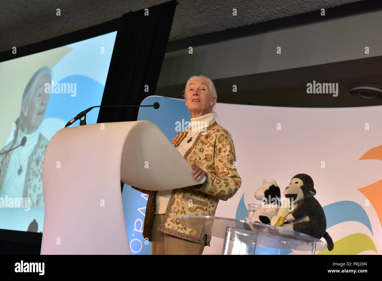 Jane Goodall auf der Internationalen Konferenz über Nachhaltige tierärztliche Praxis. Montreal, 2016 Stockfoto