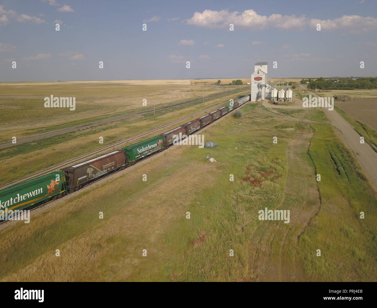 Saatgut Reinigung, Körnerelevator, Adlerfarn, Saskatchewan, Kanada, Palliser Triangle, Brian Martin RMSF Stockfoto