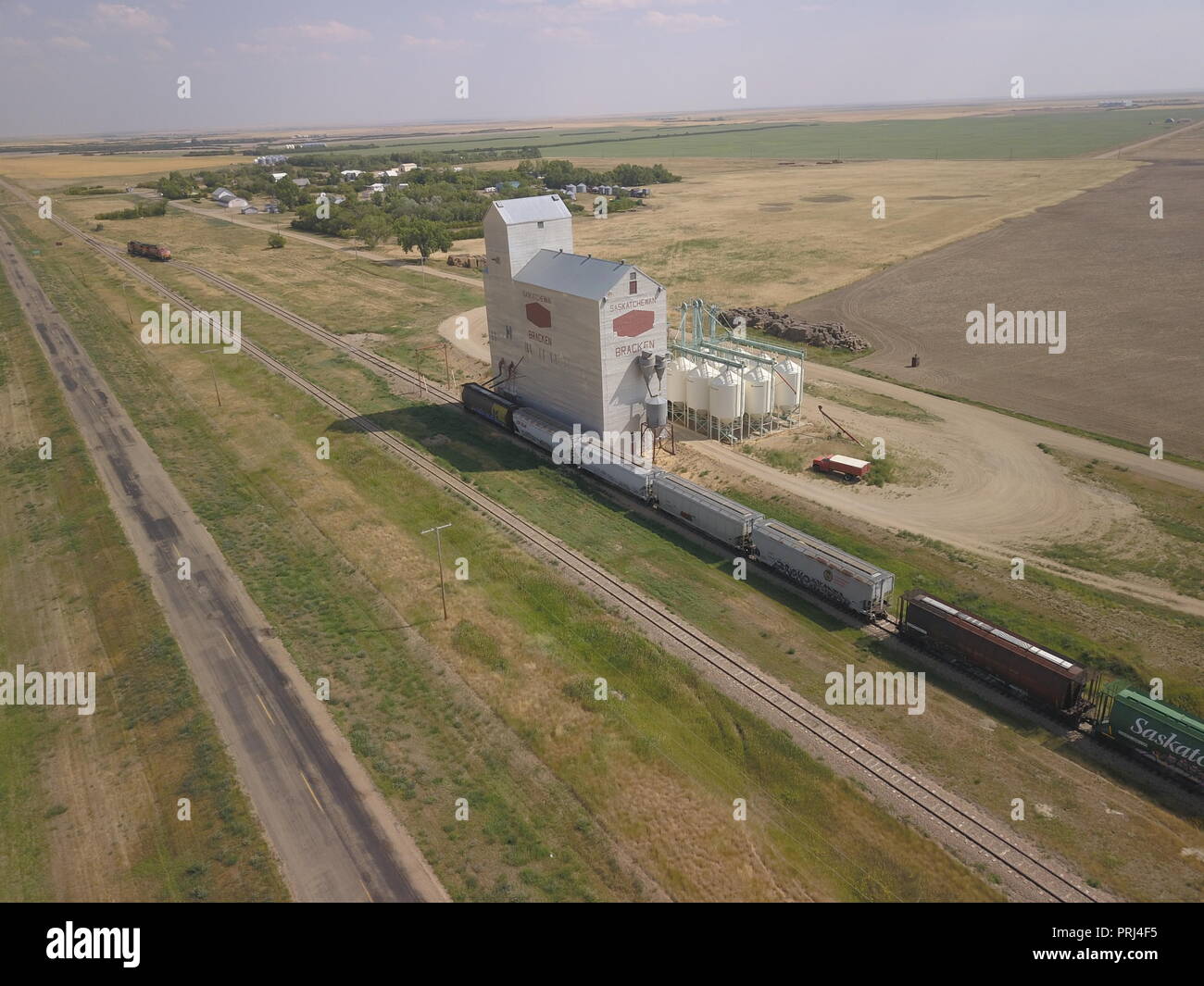 Saatgut Reinigung, Körnerelevator, Adlerfarn, Saskatchewan, Kanada, Palliser Triangle, Brian Martin RMSF Stockfoto