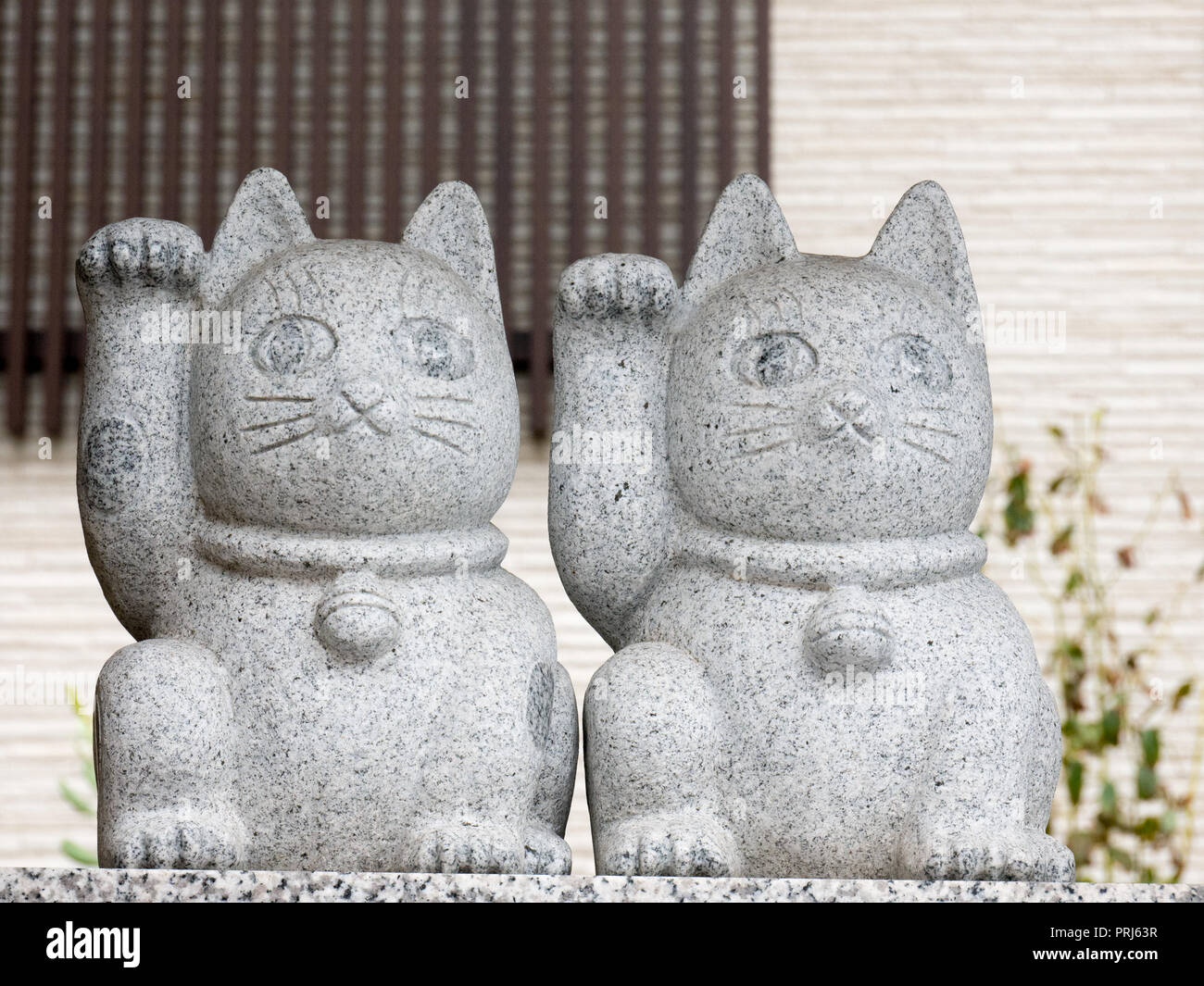 Keramik Japanische freundliche Katzen oder lucky Cat (Maneki Neko) an Imado Schrein, Tokio, Japan Stockfoto