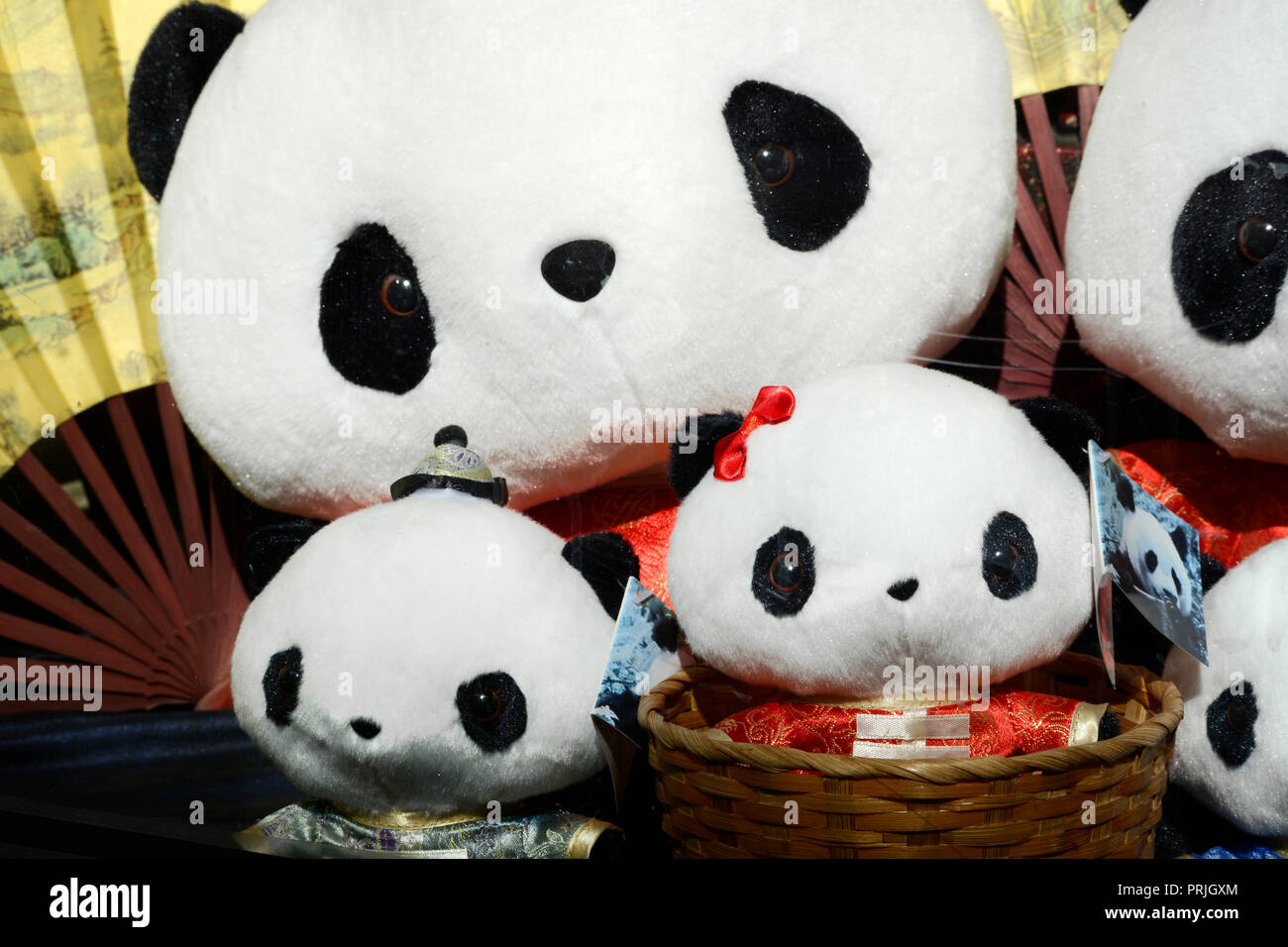 Gefüllte Pandabär Tiere für den Verkauf in einem Souvenirshop in Chinatown, San Francisco, Kalifornien, USA Stockfoto