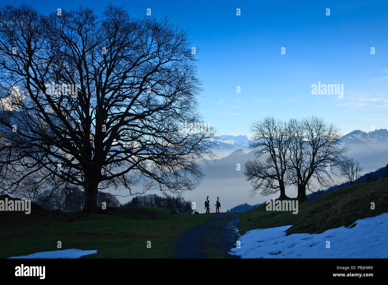 Zwei skitourengeher von großen Bäumen, silhouette umrahmt, hinter Ihnen das Rheintal, Appenzell Alpen, im Kanton St. Gallen Stockfoto