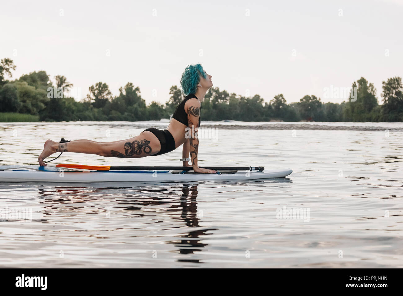 Tätowierte Frau mit blauen Haaren Yoga auf paddleboard in Wasser. In den nach oben schauenden Hund darstellen (Urdhva Mukha Svanasana) Stockfoto