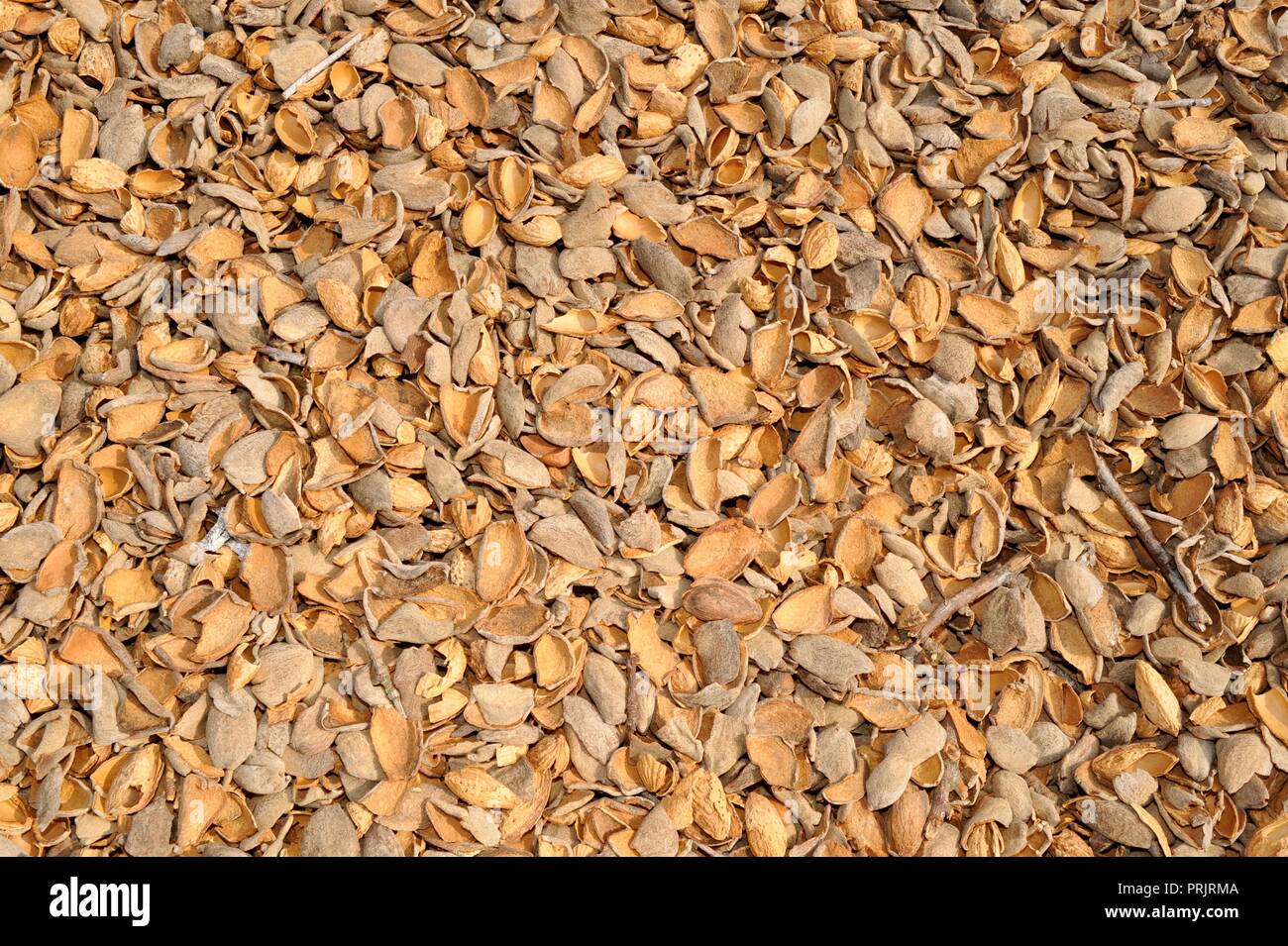 Nahaufnahme von Spezialitäten Mandeln Shell Schale im Stapel auf mandelobstgarten Bauernhof außerhalb Manteca, Kalifornien, USA Stockfoto