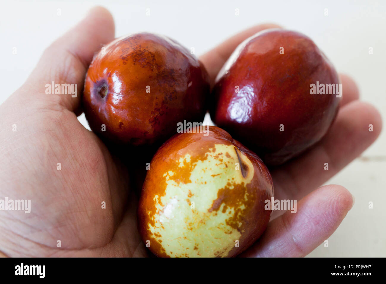 Mann, Jujube jujube Früchte (Beeren) aka rotes Datum, Chinesische, Koreanische Datum (Ziziphus jujuba) Stockfoto