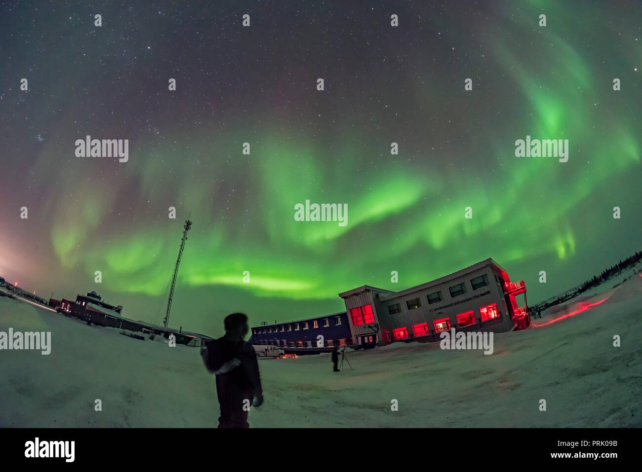 Ein recht helles Display von Northern Lights wird angezeigt und führt zum ersten Aurora Gruppe der Jahreszeit am Churchill Northern Studies Center, Stockfoto