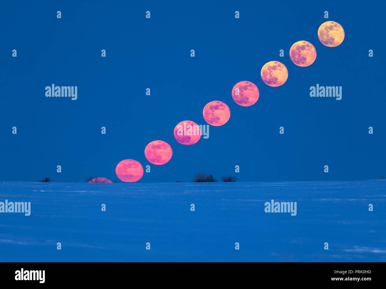 Der Aufgang der Vollmond auf Ostern Vorabend, Samstag, März 31, 2018, auf einem sehr kalten Nacht mit viel Schnee noch auf dem Boden in Alberta. So ist dieses Stockfoto
