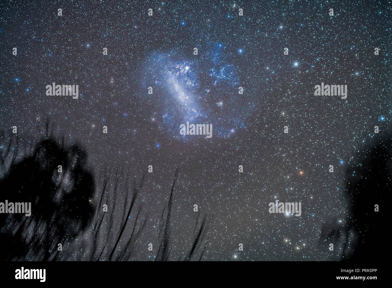 Der Großen Magellanschen Wolke satellitengalaxie der Milchstraße tief am Himmel inmitten von Bäumen und Haze, mit den Sternen fuzzy von der hohen Wolke vorbei an Thro Stockfoto