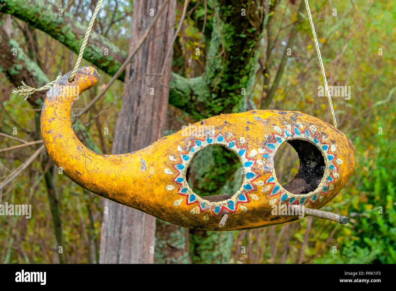 Süß und bunt mit freier Form Holz Vogelhaus hängend an einem Baum im Wald. Stockfoto