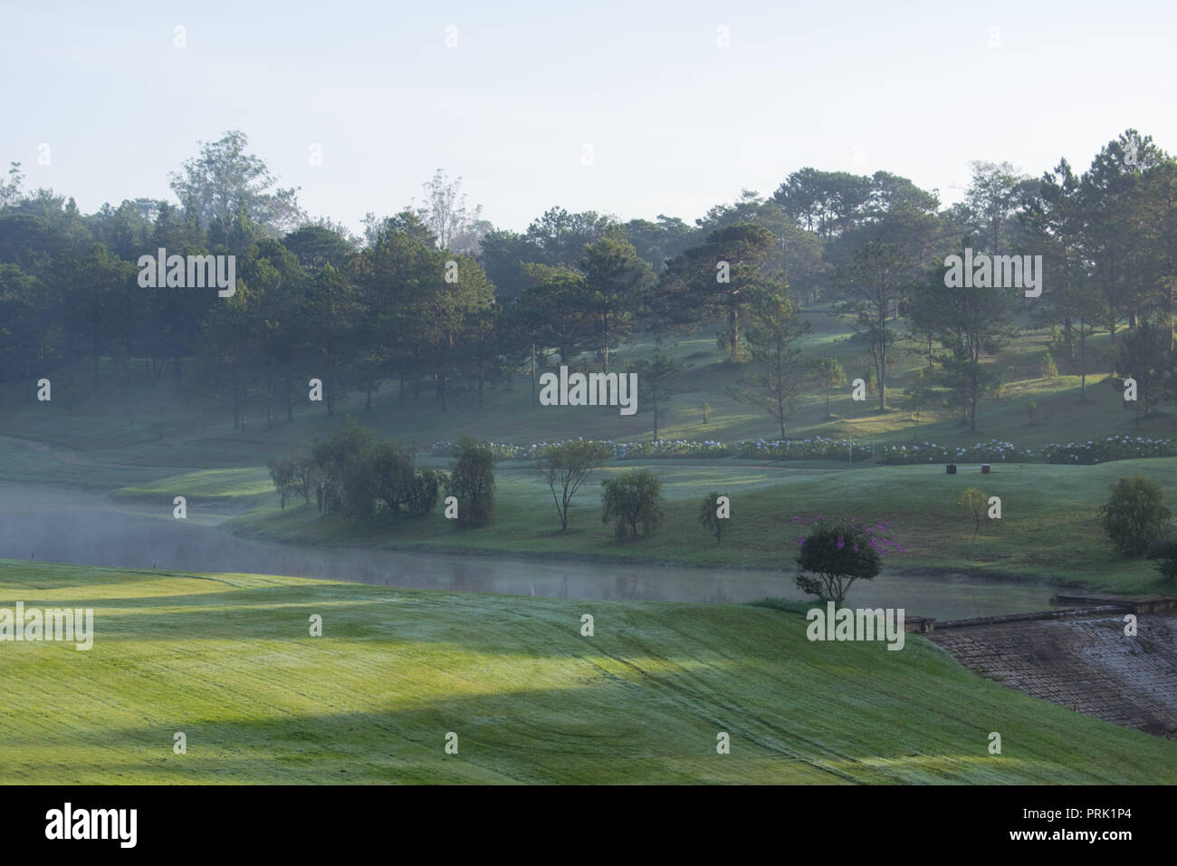 Hintergrund mit grüner Wiese und gelbe Sonnenlicht, Nebel Abdeckung Gras Hügel. Fotos im Golf Course Design Ideen, Travel, Werbung Stockfoto