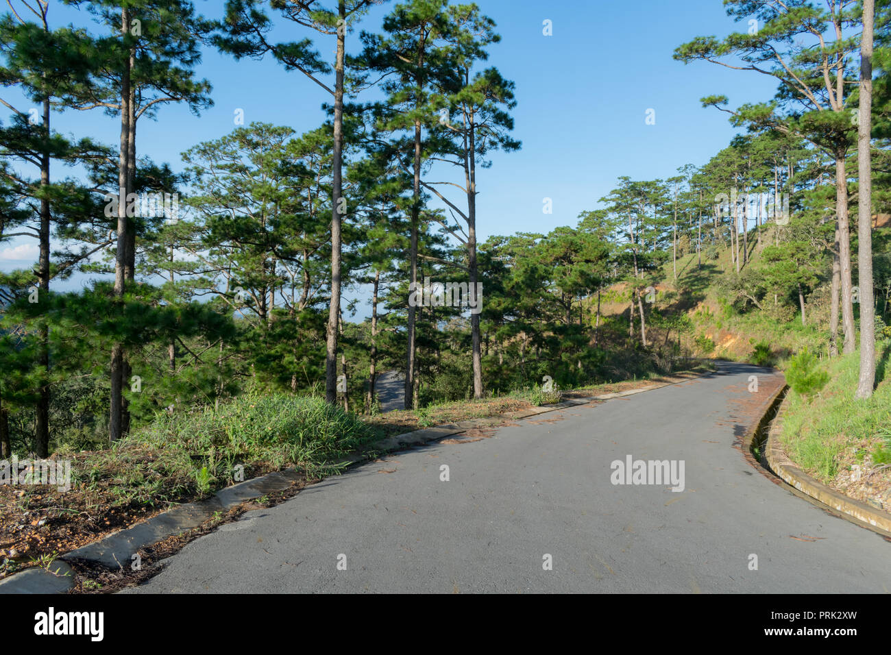 Discovery Nationalpark in Vietnam, Wandern, Klettern, Wandern mit Freunden in den Wald, auf der Suche nach neuen Orten über Fauna, Flora und backpacki Stockfoto