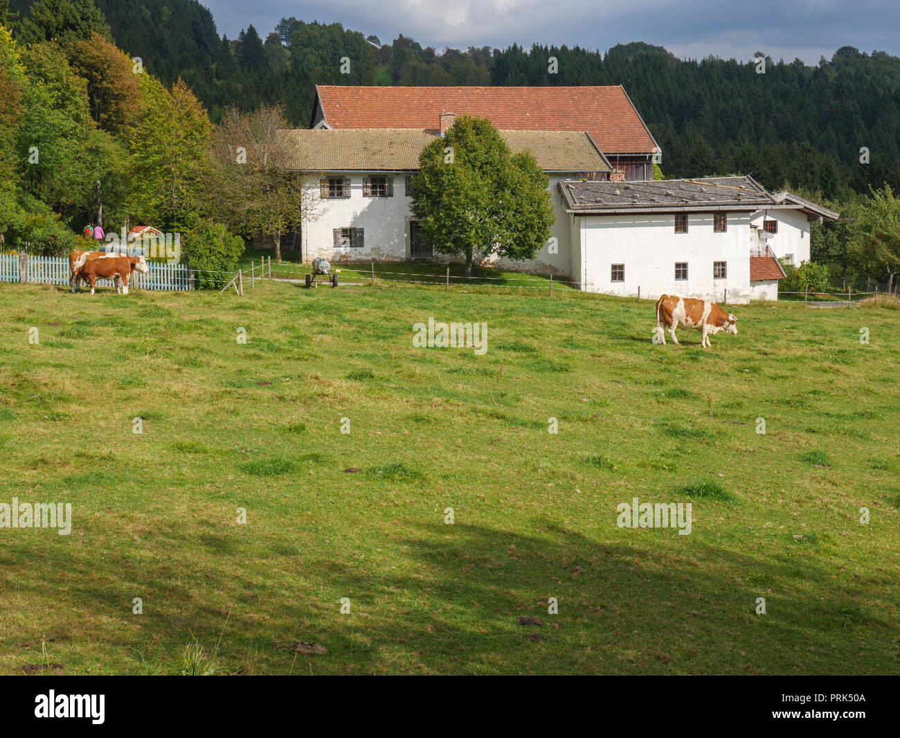 Open-air-Farm Museum Finsterau, Bayerischer Wald, Bayern Stockfoto