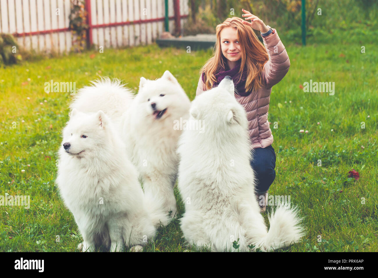 Happy kaukasische Mädchen spielt mit weißen Samoyed Hunde im Park, Outdoor Portrait Stockfoto