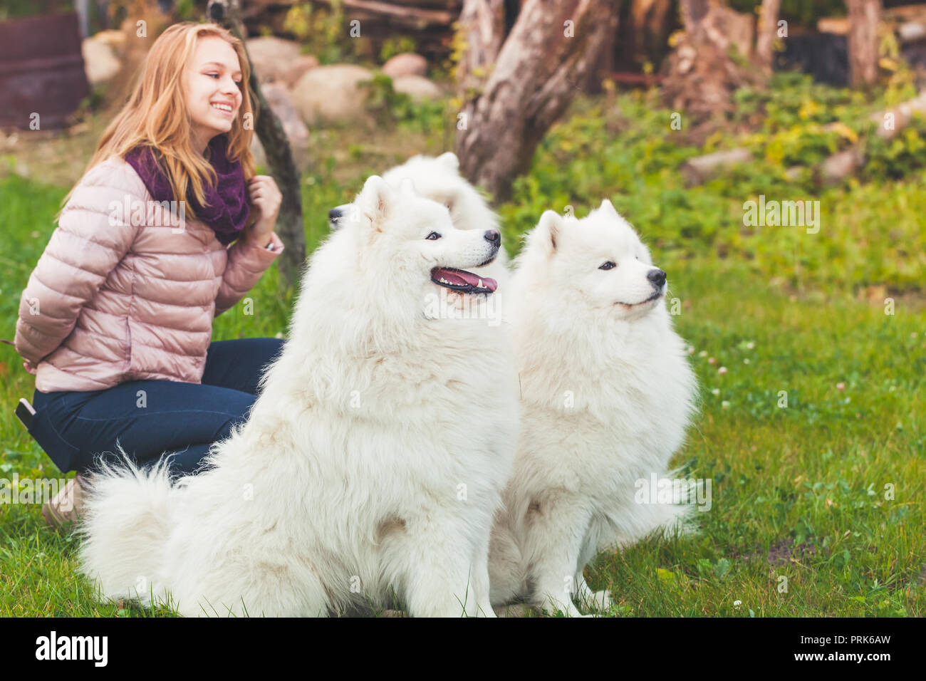 Lächelnd kaukasische Mädchen mit weißen Samoyed Hunde im Park spazieren, Outdoor Portrait Stockfoto