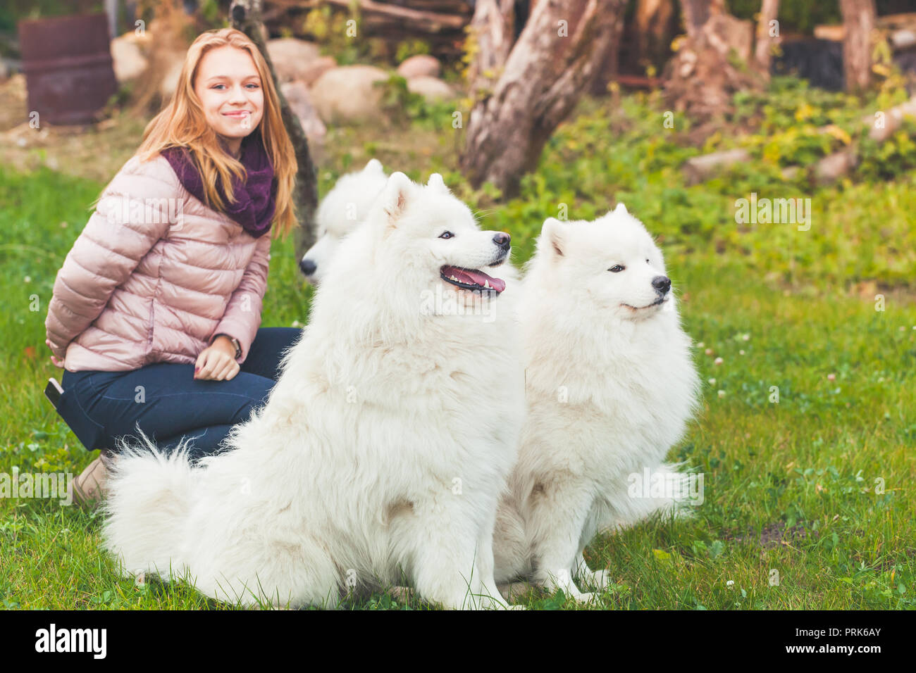 Happy kaukasische Mädchen mit weißen Samoyed hunde Spaziergang im Park, Outdoor Portrait Stockfoto