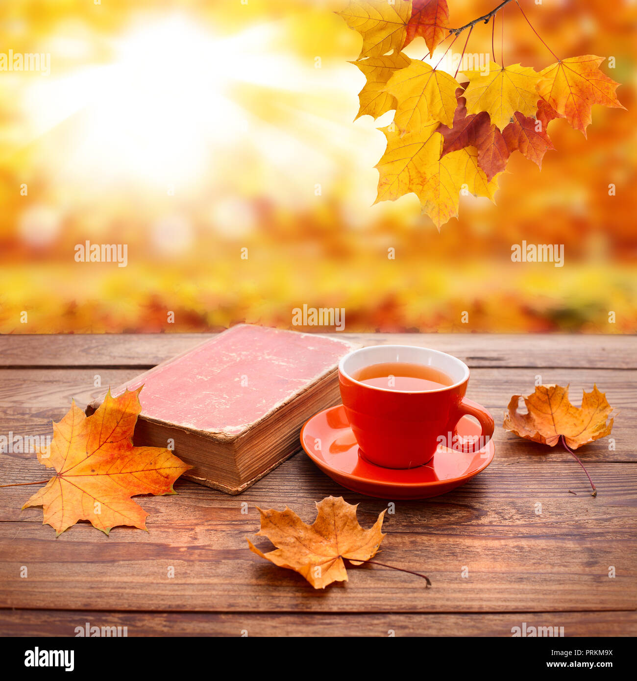 Herbst Hintergrund. Blätter im Herbst, Buch und einer Tasse Tee auf Holztisch closeup im Park. Stockfoto