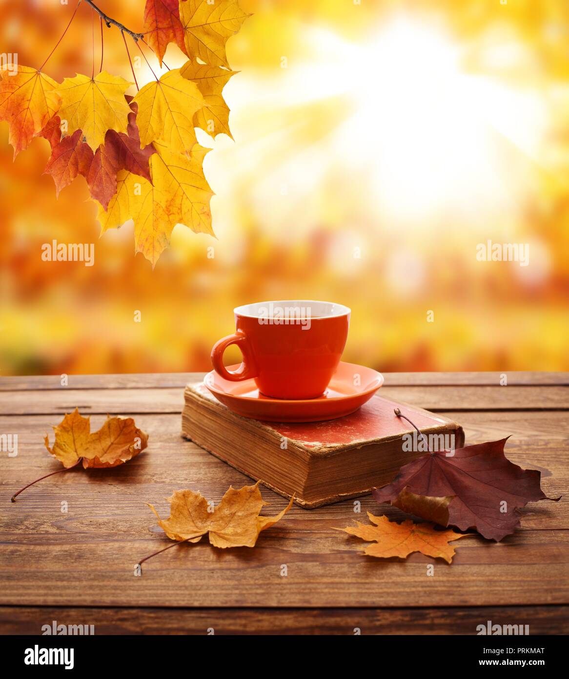 Herbst Hintergrund. Blätter im Herbst, Buch und einer Tasse Tee auf Holztisch closeup im Park. Stockfoto