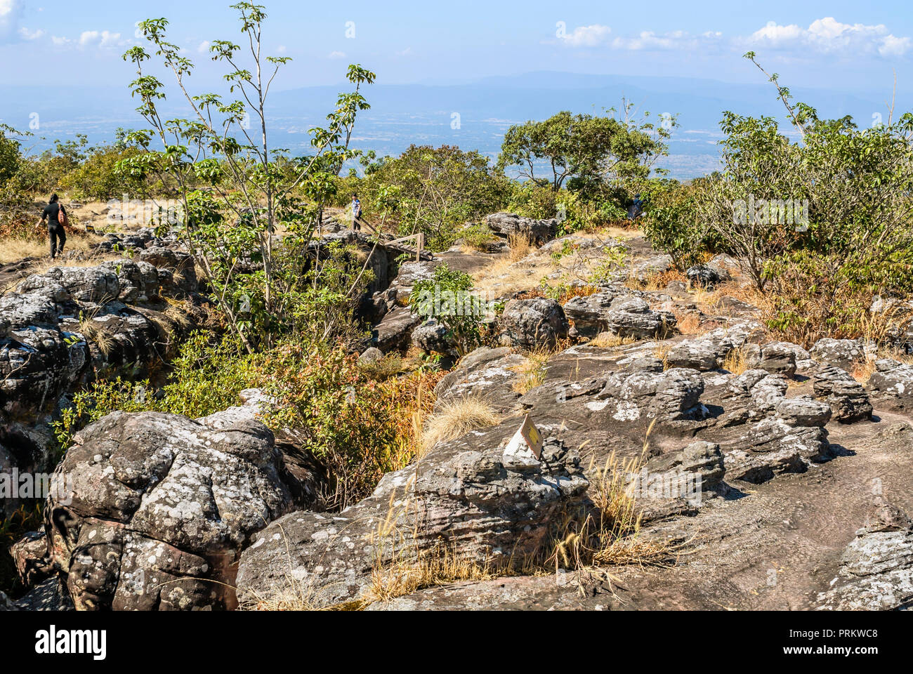 "Brocken Rock im Feld 'Bei Lan hin Taek in Phu Hin Rong Kla National Park in der Nähe von Phitsanulok, Thailand Stockfoto