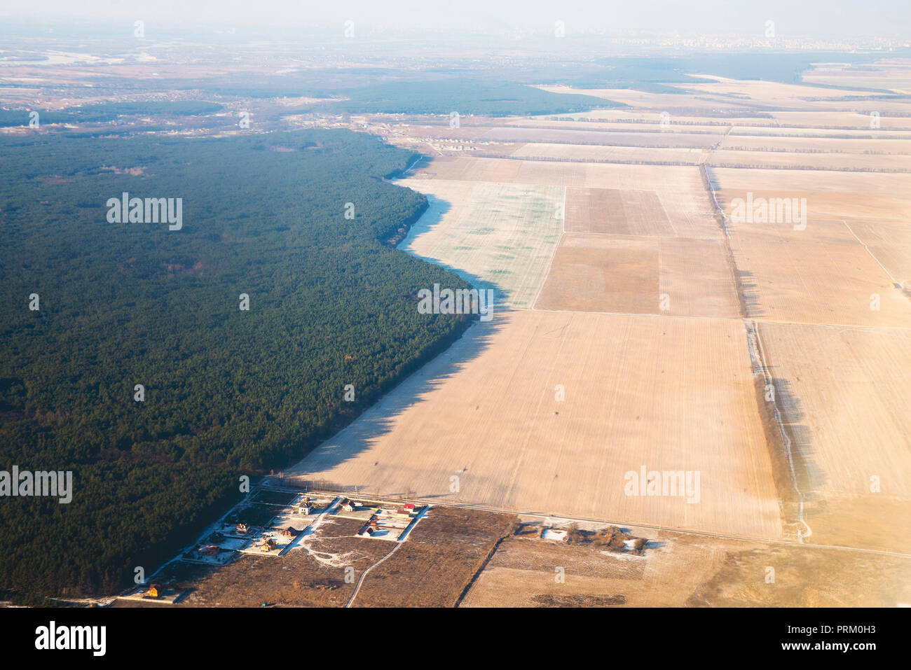 Feld und Wald Stockfoto